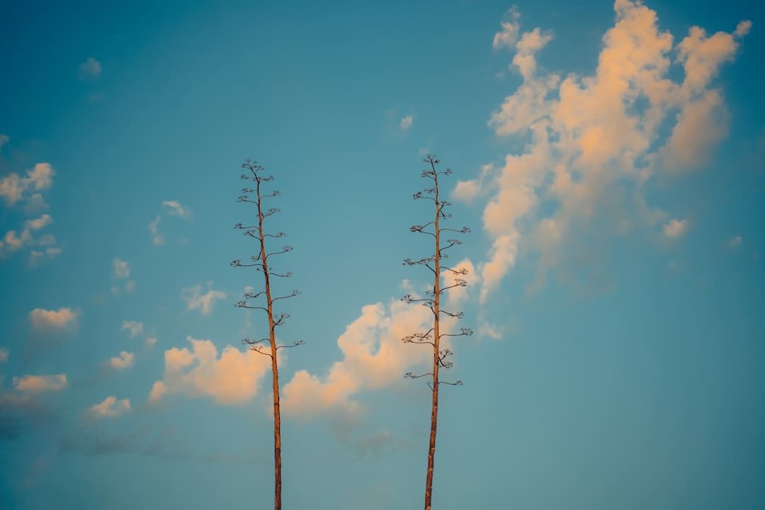 《归队》福庆角色介绍